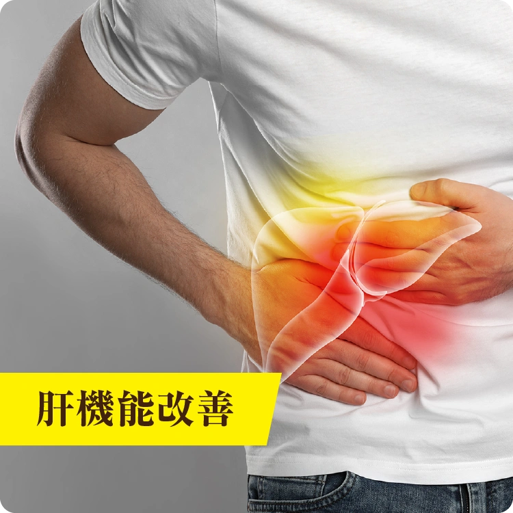 肝機能改善
